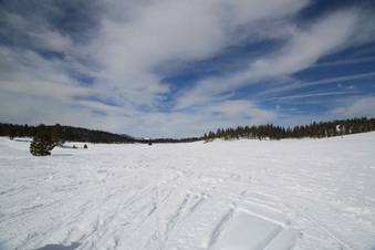 Enlarge photo 41