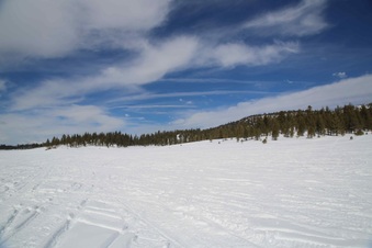 Enlarge photo 42