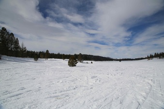 Enlarge photo 44