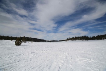 Enlarge photo 45