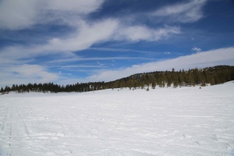 Enlarge photo 46