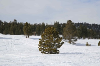 Enlarge photo 47