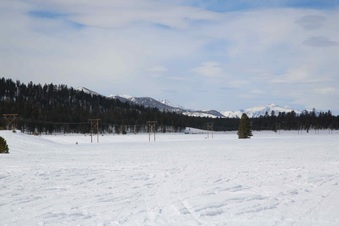 Enlarge photo 48