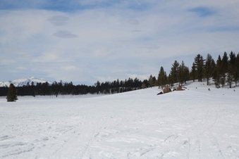 Enlarge photo 49