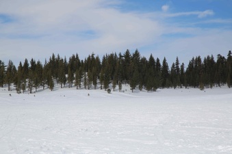 Enlarge photo 50