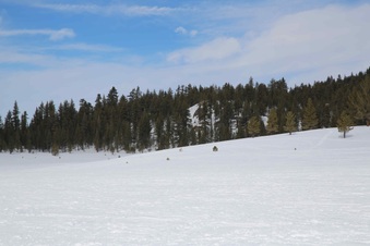 Enlarge photo 51