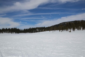 Enlarge photo 52