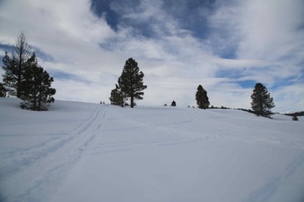 Enlarge photo 56