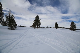 Enlarge photo 61