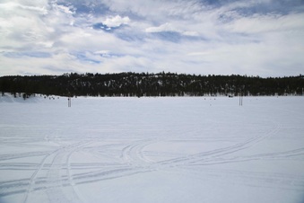 Enlarge photo 65