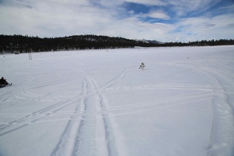Enlarge photo 67