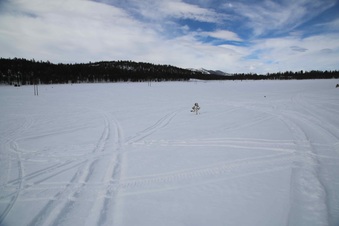 Enlarge photo 74