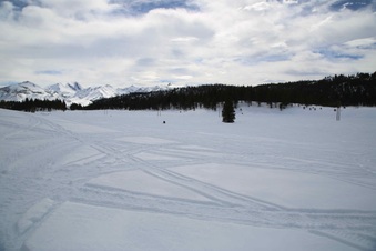 Enlarge photo 78