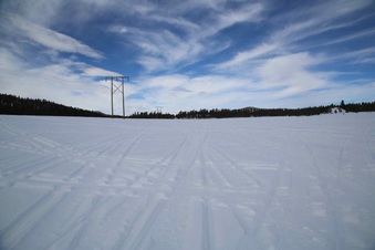 Enlarge photo 80
