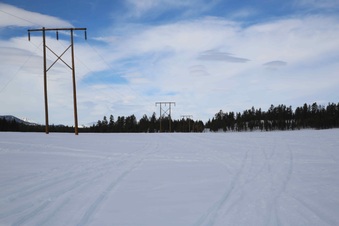 Enlarge photo 81
