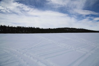Enlarge photo 82