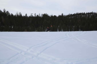 Enlarge photo 83