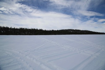 Enlarge photo 84