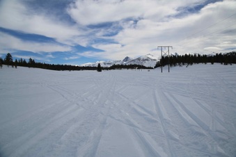 Enlarge photo 85