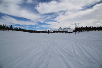 Enlarge photo 87