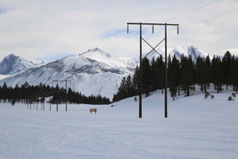 Enlarge photo 88
