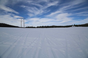Enlarge photo 89