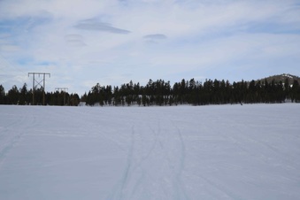 Enlarge photo 90