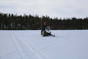 Enlarge photo 92