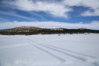 Enlarge photo 95