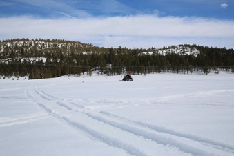 Enlarge photo 98