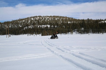 Enlarge photo 99