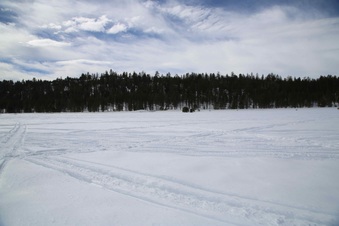 Enlarge photo 103