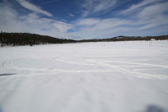 Enlarge photo 111