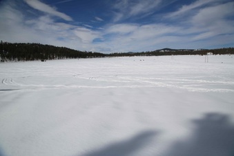 Enlarge photo 112