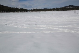 Enlarge photo 113