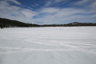 Enlarge photo 115
