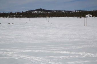 Enlarge photo 116