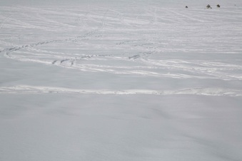 Enlarge photo 117