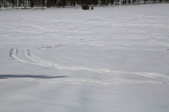 Enlarge photo 118