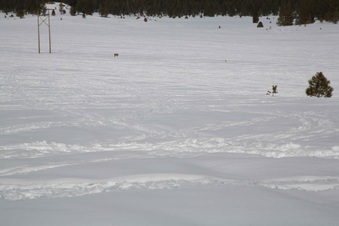 Enlarge photo 119