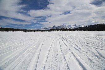 Enlarge photo 120
