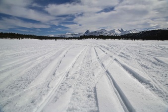 Enlarge photo 121