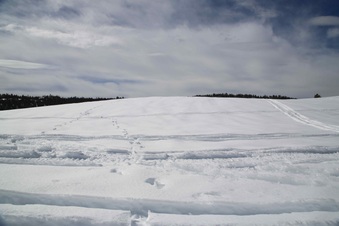 Enlarge photo 127