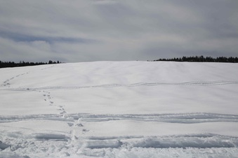 Enlarge photo 128