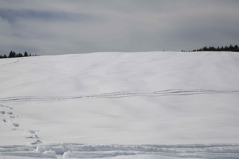 Enlarge photo 129