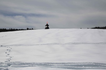 Enlarge photo 130