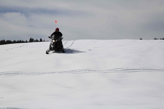 Enlarge photo 132