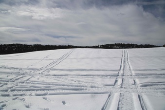 Enlarge photo 136