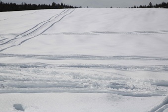 Enlarge photo 137