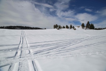 Enlarge photo 138